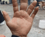 此指一出，加藤鹰之流已沦为浮云一片~ - This refers to the fact that the flow of Taka Kato has become a floating cloud.