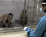 Your human food is so hard to eat,你们人类的食物简直太难吃啦