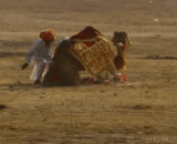 Get up and go to work,快起来，去干活了