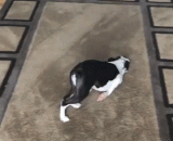 过了一个月暑期生活的你，好无聊啊好无聊啊！ - After a month of summer life, you are bored and bored.