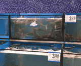 受不了这群智障了，我要静静 - Can't stand this group of mentally retarded, I want to be quiet