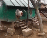 这难道是个鸡霸？真是个巨大的cock - Is this a chicken bully? It's a huge cock