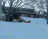 狗想：草泥马，还没我会玩... - The dog thought: the grass mud horse, not yet I will play...