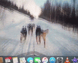 The puppy taught you how to run and shit, and the dregs stopped to shit.,小狗教你怎么一边跑一边拉屎，渣渣们才停下来拉屎~哼