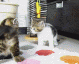 卧槽，事不过三知道不，踹死你吖的 - If you know no, you can kill you.