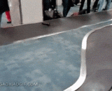 机场里始终没人认领的一件行李 - A piece of baggage that nobody has claimed at the airport.