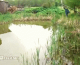 Two meow you are such a chicken thieves,二喵你这么鸡贼真的好吗