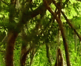 The big brother is so bold,大师兄胆子可真大呀