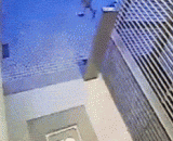 The retribution of the local defecation,随地大便的报应