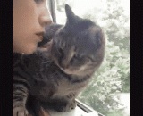 别别别，你的口味有点重 - Don't stop, your taste is a bit heavy