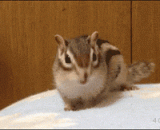 这个世界上，最容易获得的幸福，就是，伸懒腰啊 - The easiest way to get happiness in this world is to stretch out.