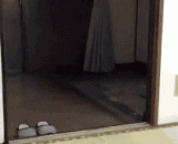 居敢拿假耗子骗我！ - Dares to take the fake mouse to deceive me!