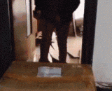 结婚纪念日，给媳妇一个惊喜~ - Wedding anniversary, a surprise to a daughter-in-law.