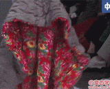 Trendy fashion, fashion and art are really... Fantastic,猎奇时装，时尚和艺术实在是………太棒了