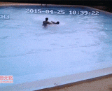 地震时，游泳池也不安全 - The swimming pool is not safe in the earthquake