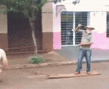 我的坐骑很帅有木有 - My mounts are very handsome and have wood.