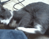 卧槽，别惹我，我疯起来自己都怕！[4P] - Lie in the grooves, do not provoke me, I am crazy to be afraid of myself! [4P]