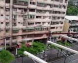 家住河边就是好啊！新鲜食材，一手获得 - It's good to live by the river. Fresh food, one hand