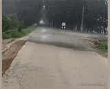 这场雨下的有点奇怪 - It's a little strange in the rain.