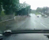 It's too cheap to catch shit,太贱了，抓到打屎