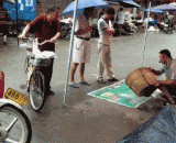 The mouse medicine has come out of the new product again!,老鼠药又出新产品了！