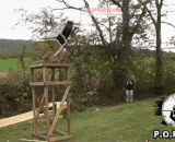 外国再控制人口方面 大家都是有目共睹的！[3P] - It is obvious to everyone that foreign countries control the population again. [3P]