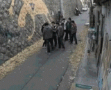 当一群狼遇上一个会功夫的女汉子 - When a group of wolves meets a female kung fu man
