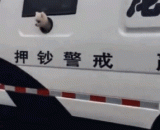 这警犬看起来好凶相啊！！！ - The police dog looks very fierce!!!