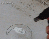 Miraculous Pharaoh snakes,神奇的法老之蛇