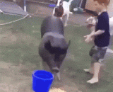 I'd like to take you as a brother, and you're going to go to me,我特么把你当兄弟，你竟然要上我