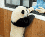 告诉你什么是真兄弟！！！ - Tell you what a real brother!!!