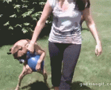 This is mine, and I won't let it go.,这个是我的，打死我也不会放手的