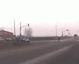 胆也太肥了，看到死神也敢拐弯 - The gallbladder is too fat to see the death and dare to turn.