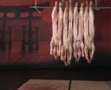 Several of the most famous swords in history [6P],史上最著名的几种刀剑[6P]