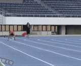 The fastest man in the world,世界上爬的最快的人