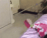 老鼠：你弄只猫来吧，这样太残忍了 - Mouse: you get a cat. It's so cruel