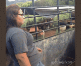 You dare to sell the wind in front of Laozi for your body.,就你这身材还敢在老子面前卖风骚...滚赎子！