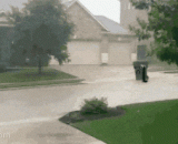 The love story under the storm is very touching,暴风雨下的爱情故事，太感人了