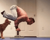 主人，锻炼身体不用戴眼镜，帮你保管一下！ - Master, exercise without wearing glasses, keep it for you!