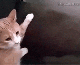 小心翼翼地去看女朋友还生不生气的你 - Look carefully at your girlfriend who is not angry with you.