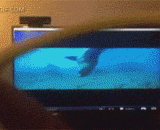 看片神器！不同镜片不同画面 - Look at the artifact! Different lenses of different pictures