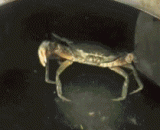 我命由我不由天 - My life depend on myself not the fate.