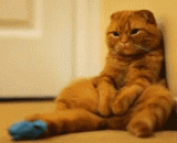 好忧伤，都胖成这样了 - Good grief, it's all fat