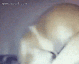 千万不要惹我，疯起来连自己都不放过！ - Don't mess with me. I'm crazy about myself.