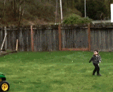 疯狂的女司机 - A crazy woman driver