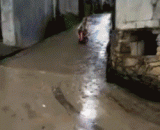 秋名山之神 - The God of the famous mountain in autumn