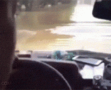 Nothing can stop the old driver from driving,没有什么能够阻挡老司机开车