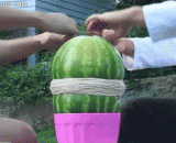 Tie a rubber band to a watermelon,给西瓜绑上橡皮筋