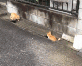 Come and chase me! After me, I'll give you heh heh heh heh [2P],来追我呀！追到我就给你嘿嘿嘿[2P]