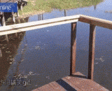 敢闯到我们的领地，自寻死路！ - Dare to go to our territory and find the way to death!